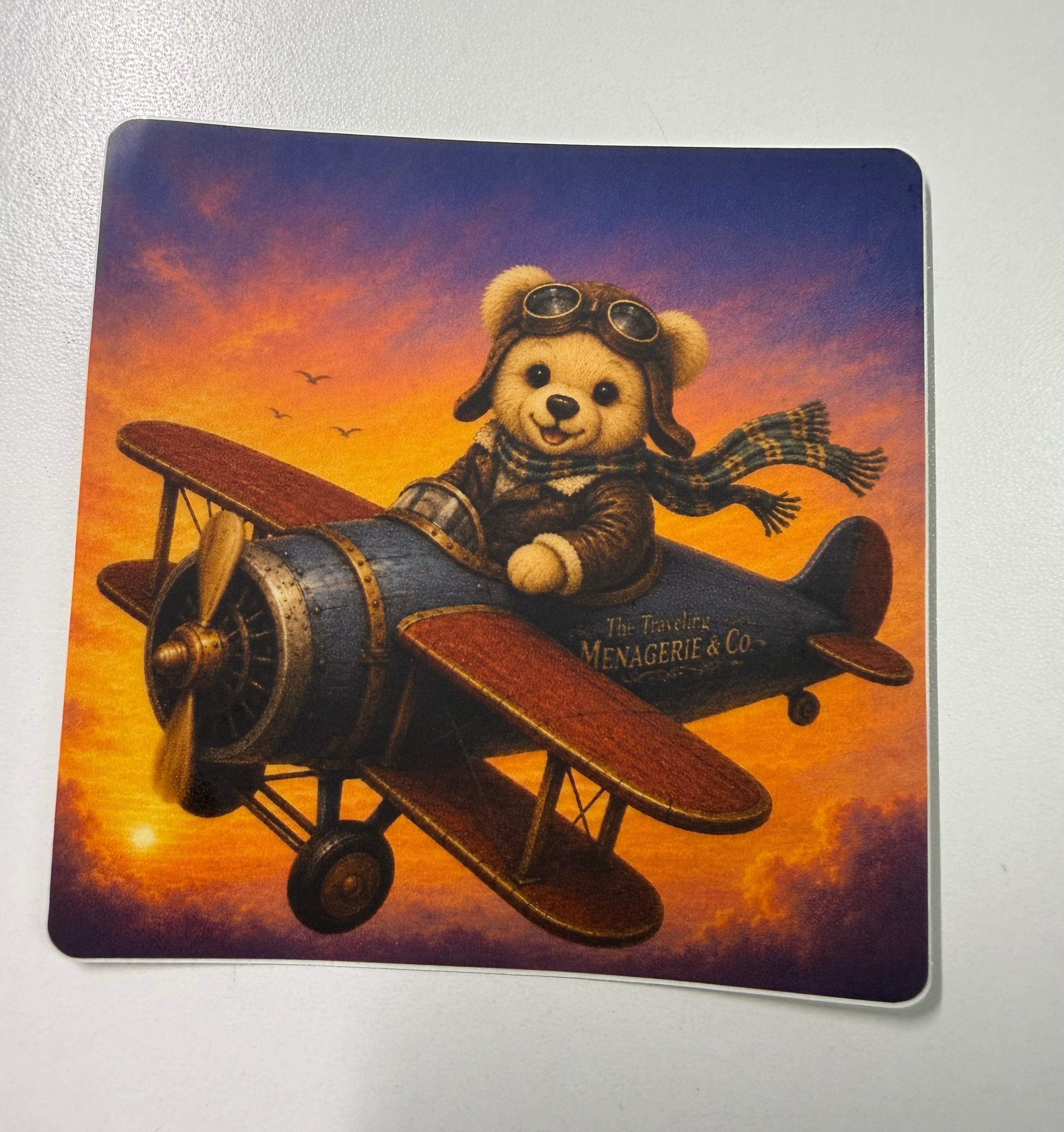 Beary the Pilot with plane