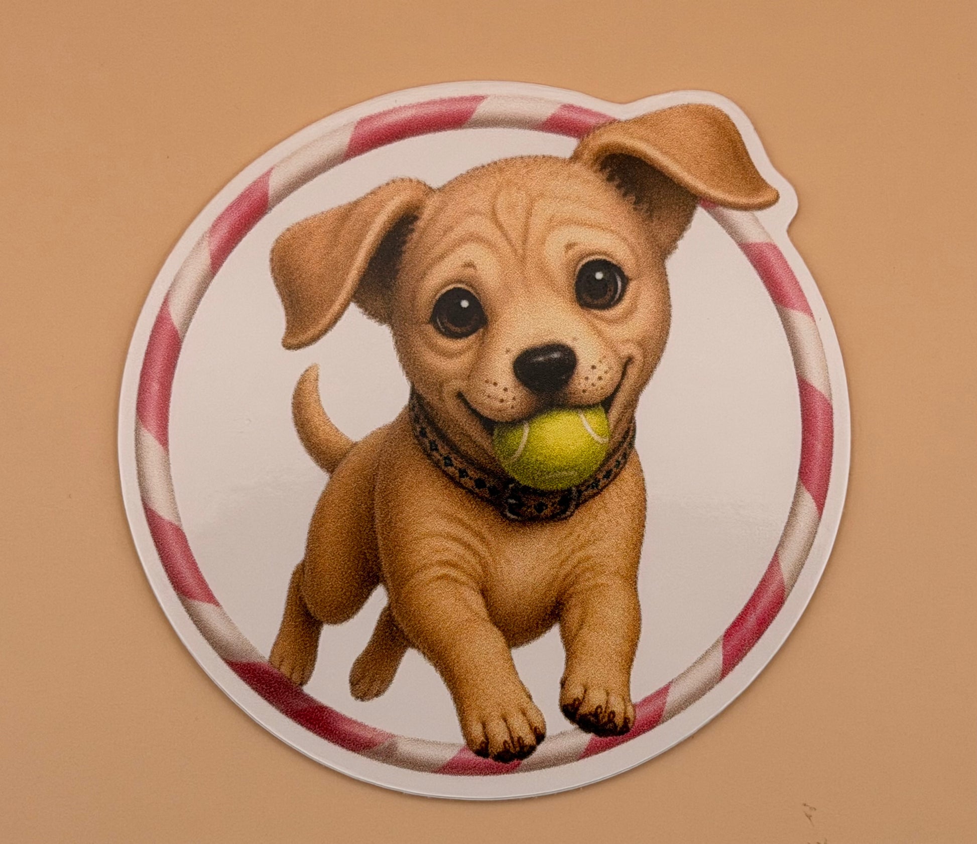Dog jumping through hoop with tennis ball
