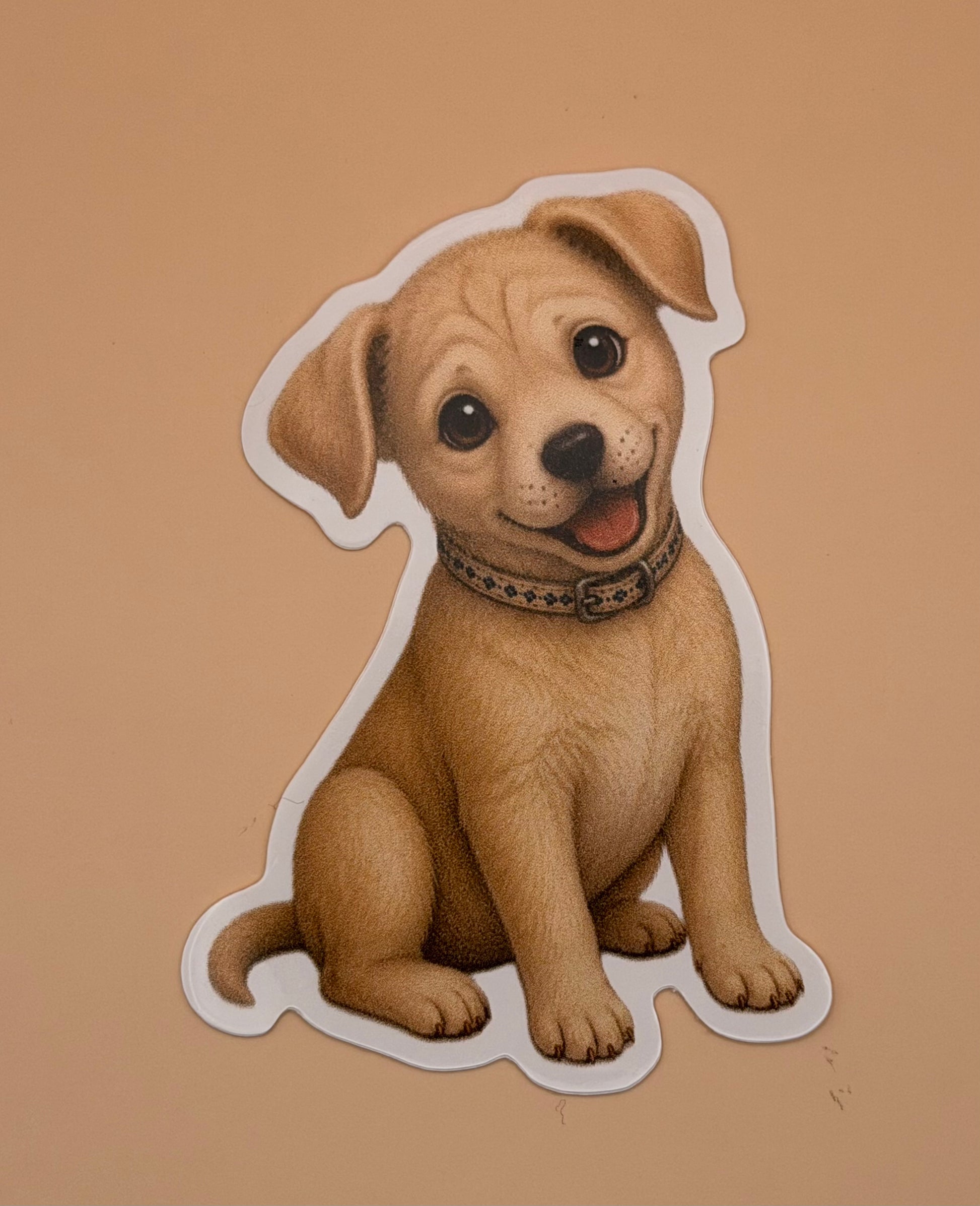 Sandy Dog