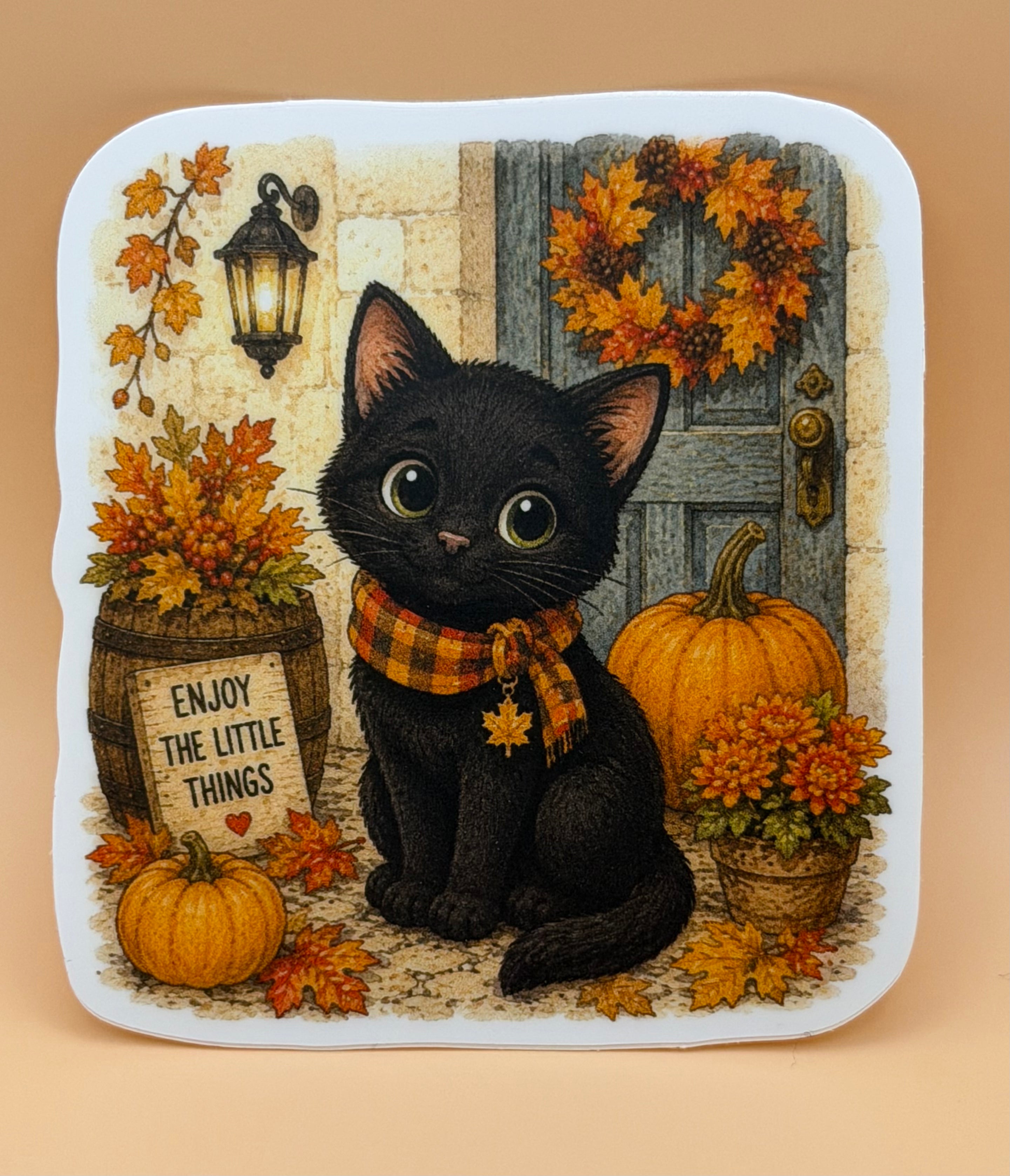 Fall Black Cat