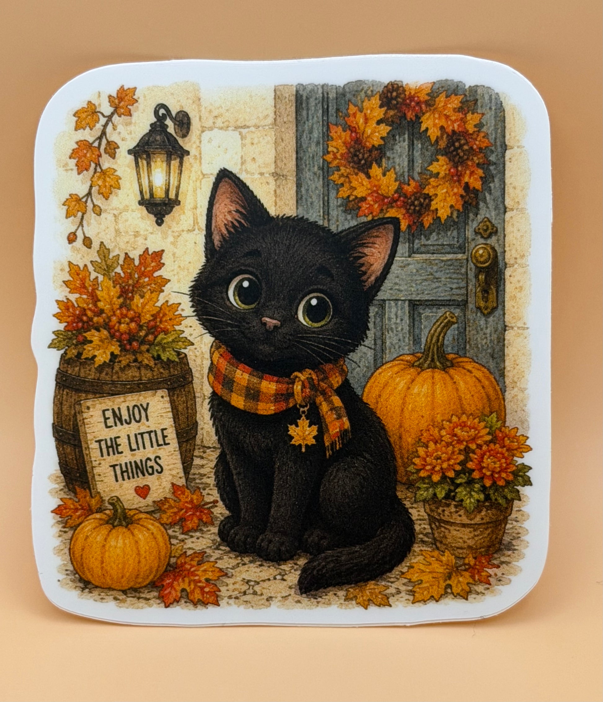 Fall Black Cat