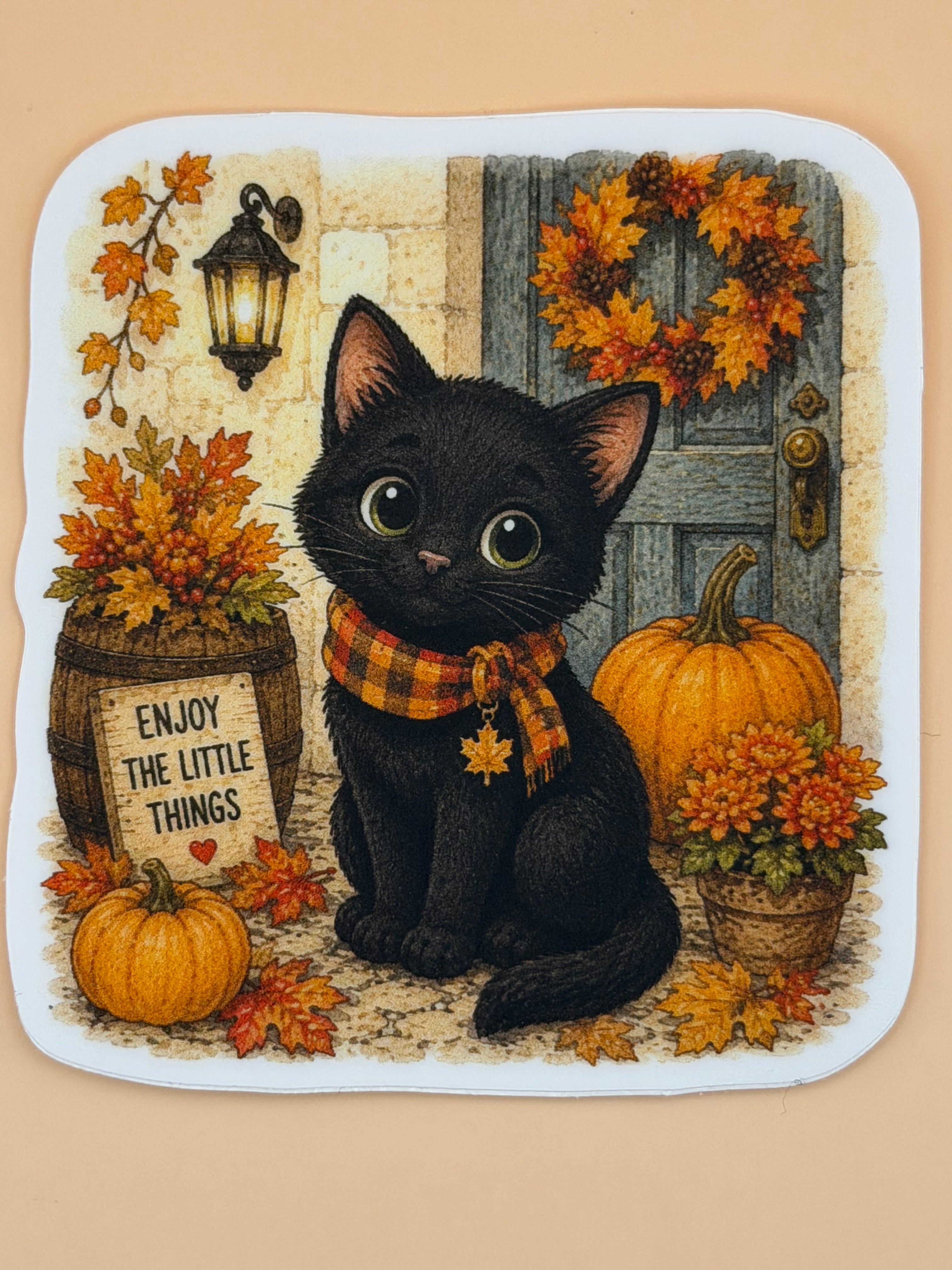 Fall Black Cat